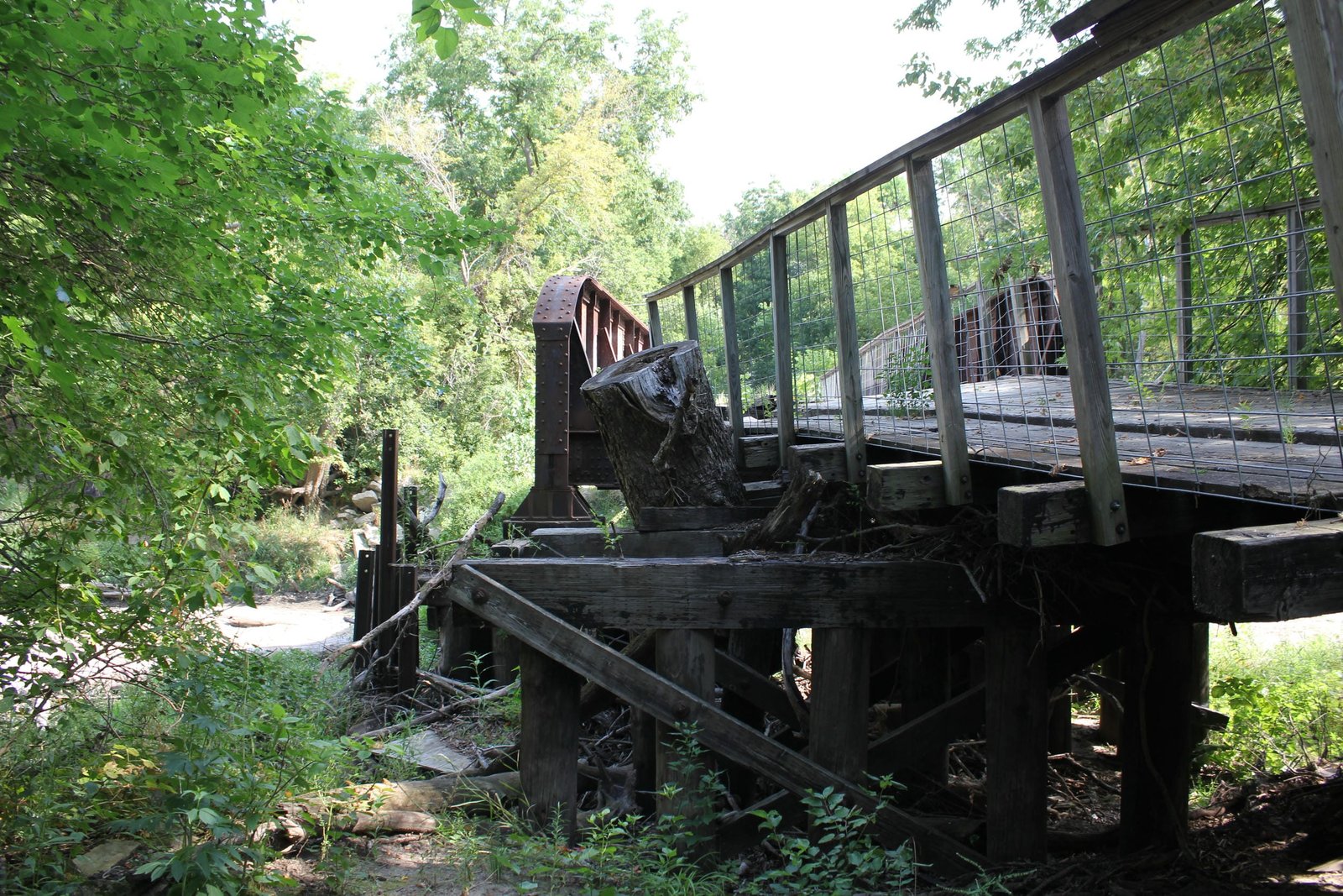 Looking north